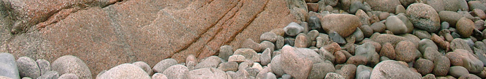 Stacks Image 642
