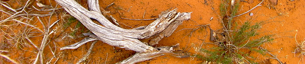 Stacks Image 222